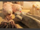 Les cochons de la ferme ATELIER AUTOUR DE LA TERRE - Fabricant à - Santons et Crèches