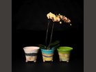 Cache-pots MARTINE KISTNER - Fabricant à - Objets décoration