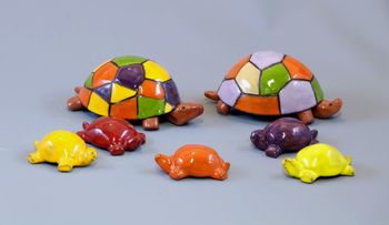 Famille Tortue multicolore