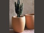 Pot Cactus POTERIE RAVEL - Fabricant à - Arts de la table et culinaire