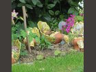 Pot à bonsaï POTERIE LESBROS - TERRE ET FEU - Fabricant à - Jarre et poterie  de jardin - Activargile Provence