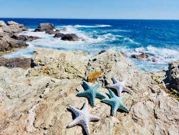 Étoiles de mer en céramique
